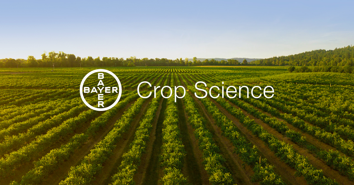 bayer crop science research report